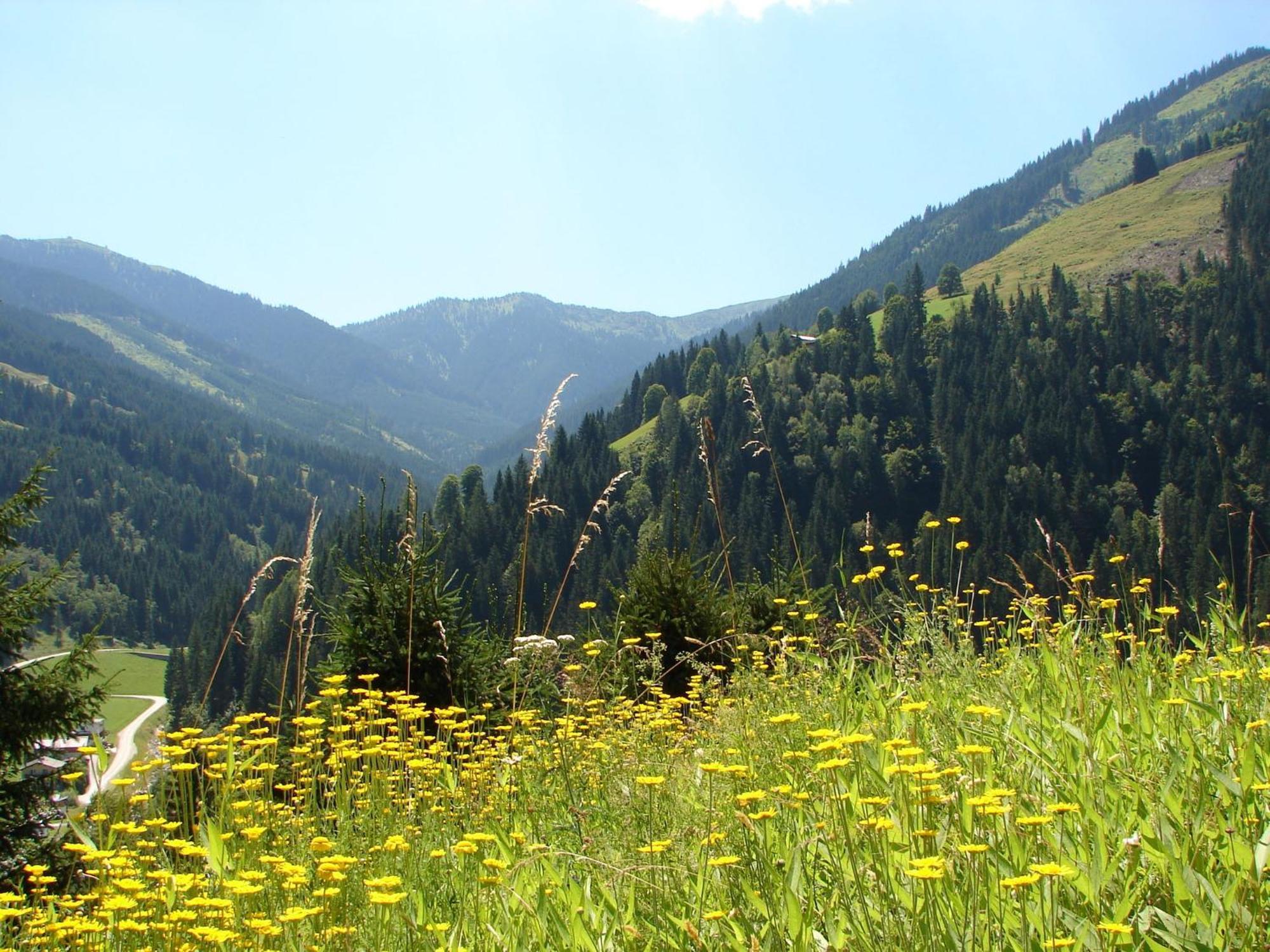Chalet Huski Viehhofen Saalbach-Hinterglemm Bagian luar foto